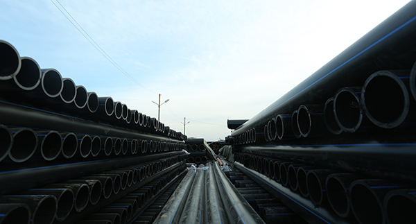 PE草莓视频H下载